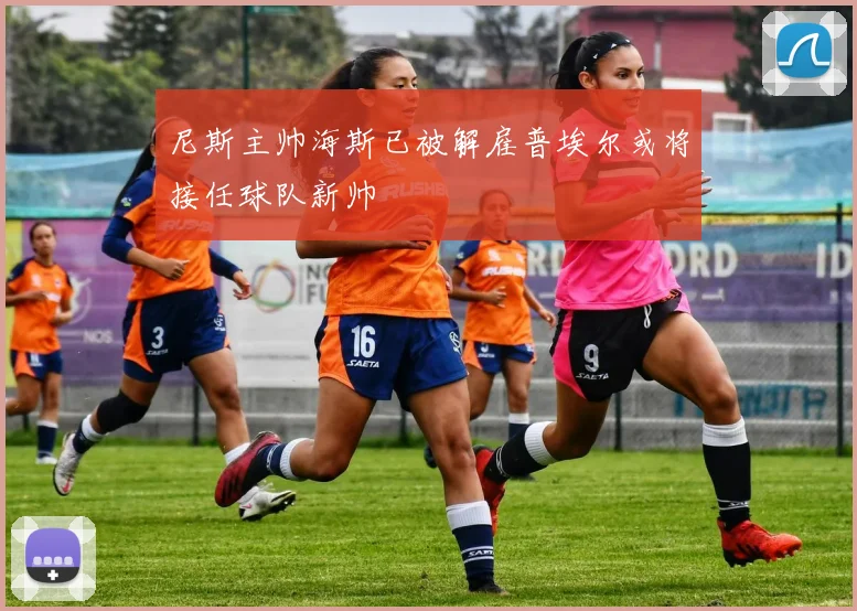 尼斯主帅海斯已被解雇普埃尔或将接任球队新帅