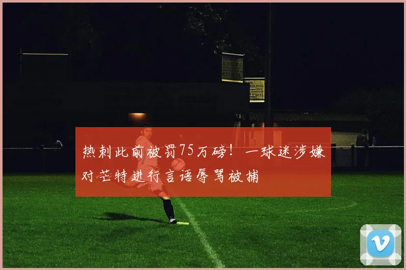 热刺此前被罚75万磅！一球迷涉嫌对芒特进行言语辱骂被捕